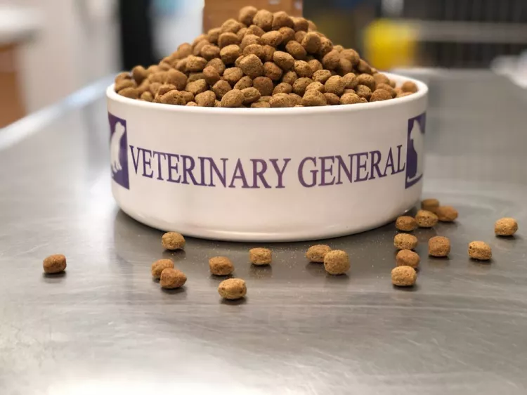 Veterinary General Inc, Michigan, Shelby Township
